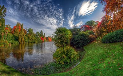 Medio del lago, otoño, Sheffield park, jardín, reino unido