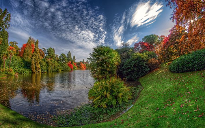 وسط بحيرة, الخريف, sheffield park, حديقة, المملكة المتحدة