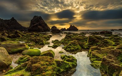 coast, sea, sunset, stones, green moss, sand, evening, seascape