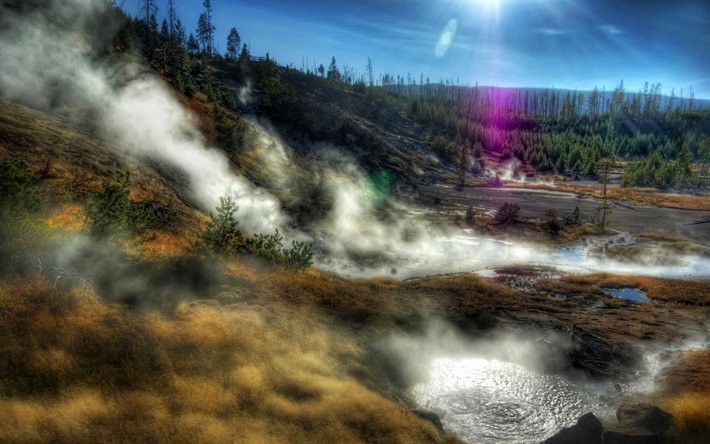 America, Yellowstone National Park, hot springs, woods, summer, HDR, USA