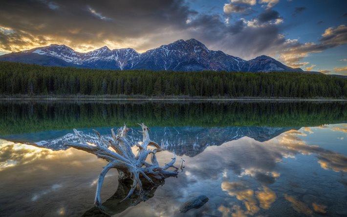 evening, lake, mountains, Patricia Lake, Jasper National Park, Alberta, Canada, Canadian Rockies
