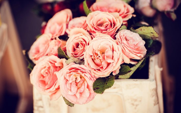 분홍색 roses, 꽃다발, 흐림 roses