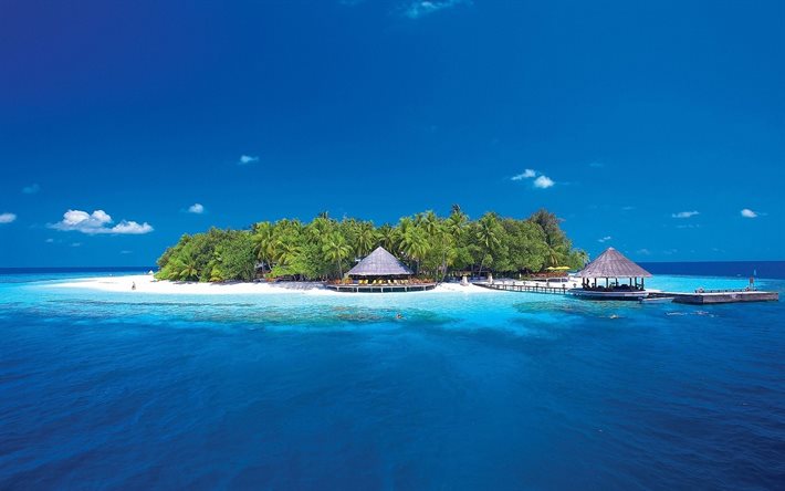 maldiverna, sommar, ö, hav