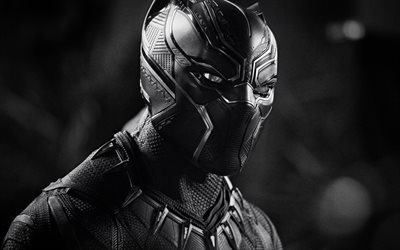 Black Panther, superhero, portrait, superhero film character, Chadwick Aaron Boseman, main characters