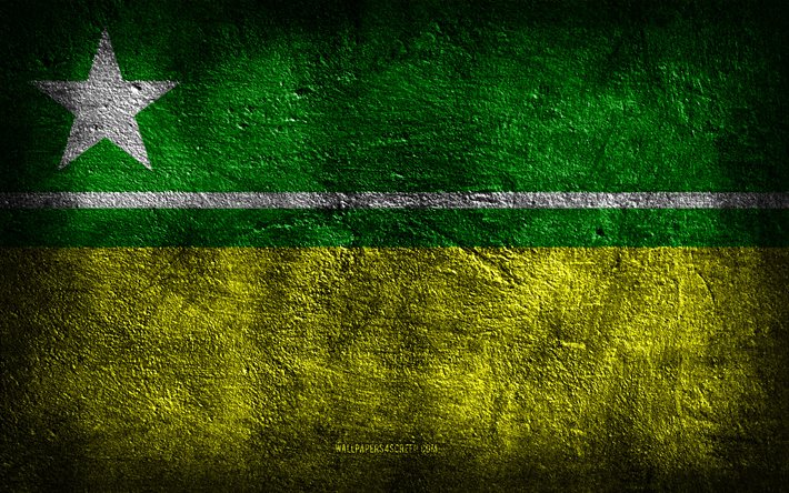 4k, ボアビスタの旗, ブラジルの都市, 石のテクスチャ, 石の背景, ボアビスタの日, グランジアート, ブラジルの国のシンボル, ボアビスタ, ブラジル
