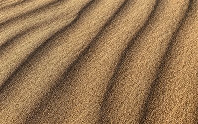 texture d onde de sable, 4k, fond de sable, désert, fond de dunes, texture de sable, fond de vagues de sable, textures naturelles