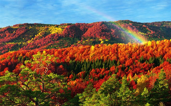 Carpazi, foresta, autunno, montagna, arcobaleno, Ucraina