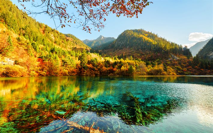 Jiuzhaigou Ulusal Parkı, sonbahar, orman, mavi göl, Asya, Çin, Jiuzhaigou