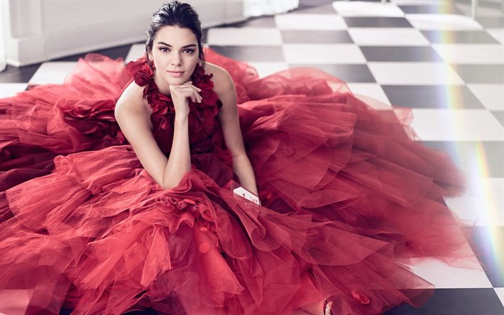ケンダルインターナショナルjenner, アメリカのファッションモデル, 幅, 赤色の豪華なドレス