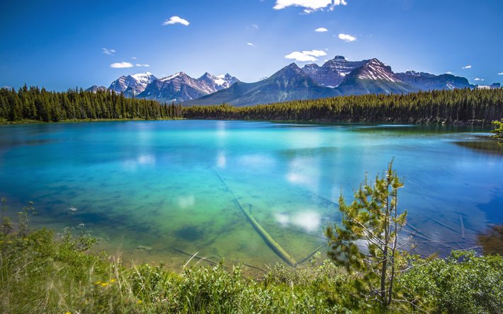mountain glacial lake, forest, mountains, summer, Canada