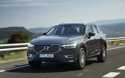 GÖRÜŞTE Volvo, 2018, yeni gri GÖRÜŞTE, İsveç geçitler, yeni arabalar, Volvo