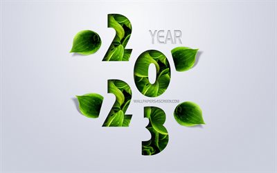 2023 Happy New Year, 4k, 2023 eco background, green leaves, 2023, concepts, Happy New Year 2023, gray background, 2023 nature background