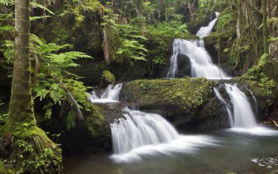 cachoeira, rochas, fluxo, floresta, havaí, árvores, rio