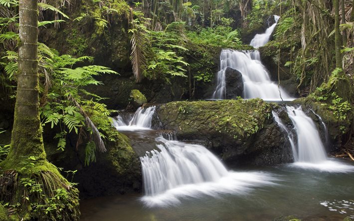 waterfall, rocks, stream, forest, Hawaii, trees, river