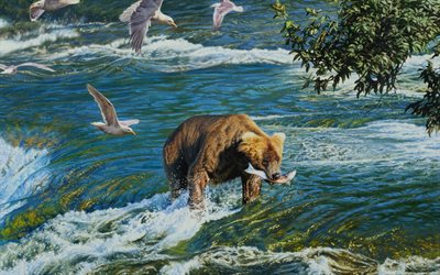 bear, fishing, hunting, mountain river, seagulls