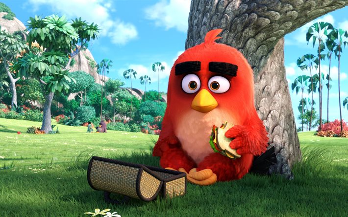Angry Birds, lawn, chest, red bird