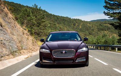 luxury car, 2016, Jaguar XF, movement, sedans