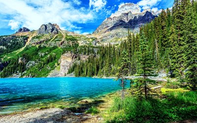 parc national de banff, forêt, été, monuments canadiens, montagnes, photos de lacs, belle nature, banff, hdr, canada, alberta, lacs bleus