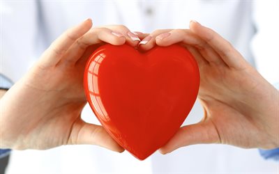 심장학, 4k, 손에 붉은 마음, 약, 손에 마음을 가진 의사, 심장 전문의, 건강 개념, 병원, 심장 전문의의 날