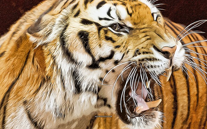 tigre, 4k, vetor, besta furiosa, desenhos de tigres, fúria conceitos, tigres, predadores
