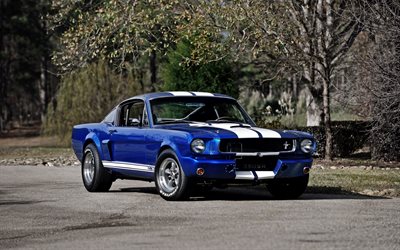 ford mustang shelby gt350r, 1966, muscle cars, azul mustang