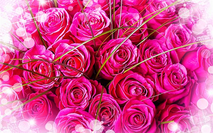 bouquet di rose rosa, bokeh, fiori viola, sfondo con rose, bel mazzo di fiori, mazzo di rose, rose rosa, bellissimi fiori, rose