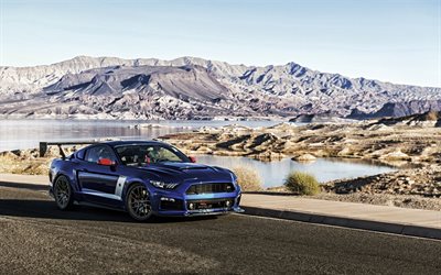 Roush stage 3 Mustang, supercars, le désert, la Ford Mustang