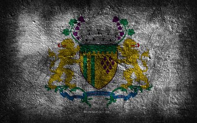 4k, bandera de caxias do sul, ciudades brasileñas, textura de piedra, fondo de piedra, día de caxias do sul, arte grunge, símbolos nacionales brasileños, caxias do sul, brasil