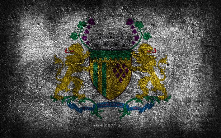 4k, カシアスドスルの旗, ブラジルの都市, 石のテクスチャ, カシアス ド スル州の旗, 石の背景, カシアス ド スルの日, グランジアート, ブラジルの国のシンボル, カシアス ド スル, ブラジル