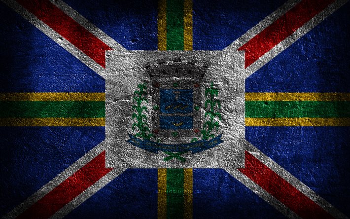 4k, 知事バラダレスの旗, ブラジルの都市, 石のテクスチャ, 石の背景, ヴァラダレス総督の日, グランジアート, ブラジルの国のシンボル, ゴベルナドール バラダレス, ブラジル
