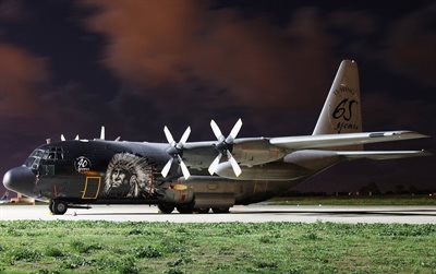 c-130, military transport aircraft, the airfield, airbrush