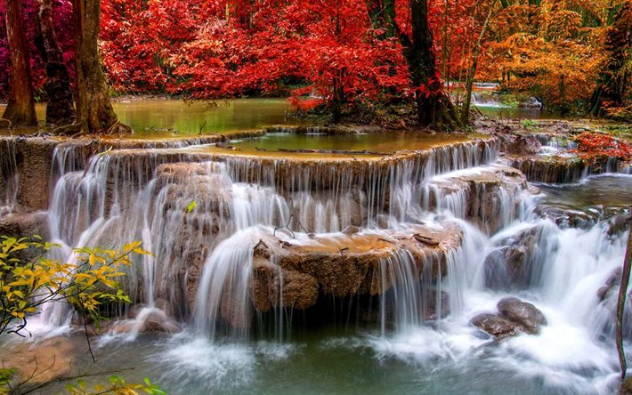 outono, cachoeira, pedras, árvores, pintura