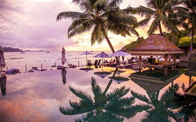 el resto, seychelles, piscina de borde infinito, de la costa, las islas seychelles, las palmas