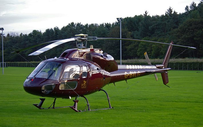헬리콥터 aerospatiale, ceo, as350ecureuil 이, 헬리콥터, 잔디밭