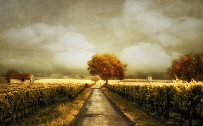 puu, taivas, viinitarha, maalaus
