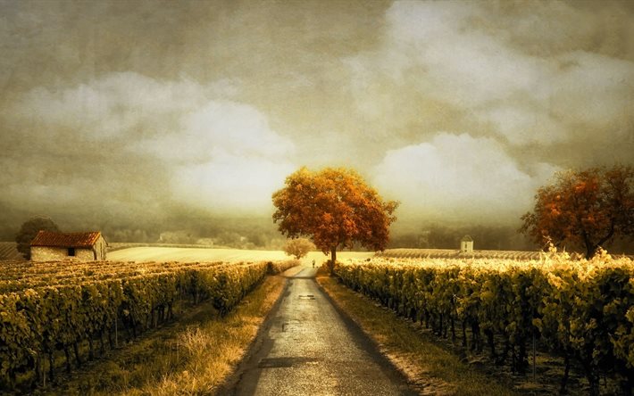 l'arbre, le ciel, la vigne, de la peinture