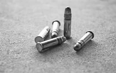 cartridges, macro, the surface, weapons