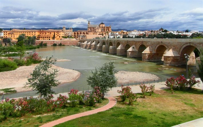 l'andalousie, cordoue, la ville, le fleuve guadalquivir, l'eau, le pont, espagne