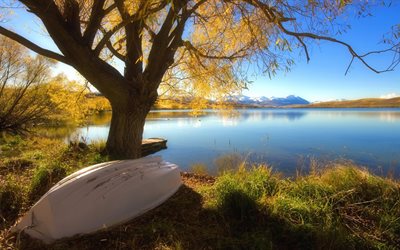 nature, automne, meilleur, fond d'écran hd, assis, bateau, plage, arbre, lac