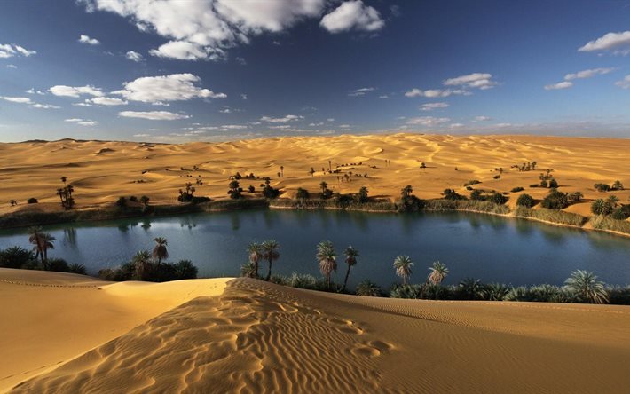 cgi, paysage, galerie, du sable, de l'eau, oasis, désert, eau