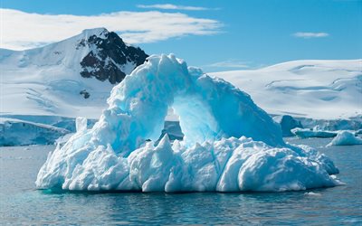 nördlich der antarktis -, wasser -, eisberg -, schnee -, eis -, nord -, winter
