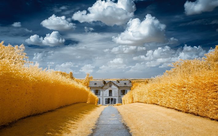 the house, autumn, golden, road, the sky, clouds
