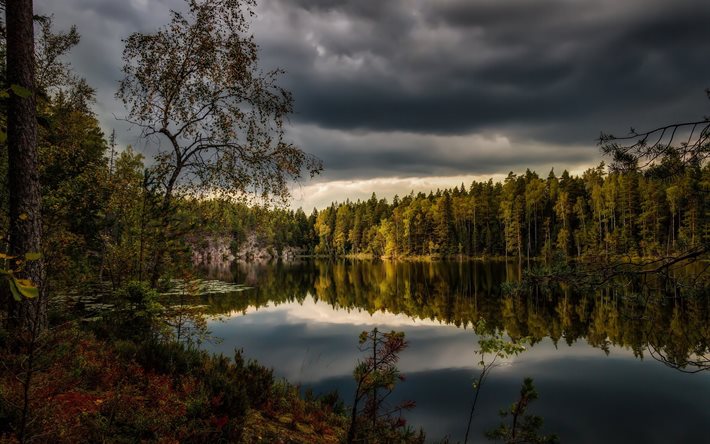 a lagoa, nuuksio, parque nacional, nós, finlândia