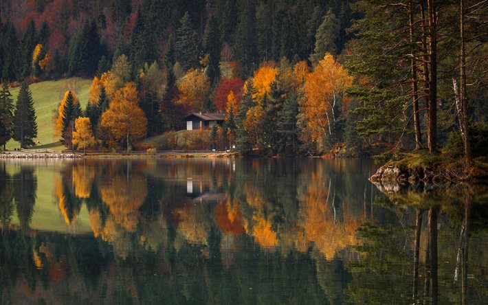 la forêt, la maison, le lac, l'automne, la nature, la réflexion, paysage, arbres