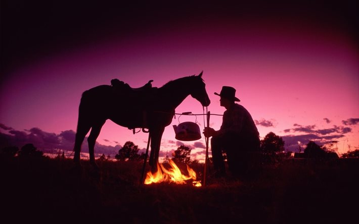 häst, kväll, glöd, elden, stopp, cowboy