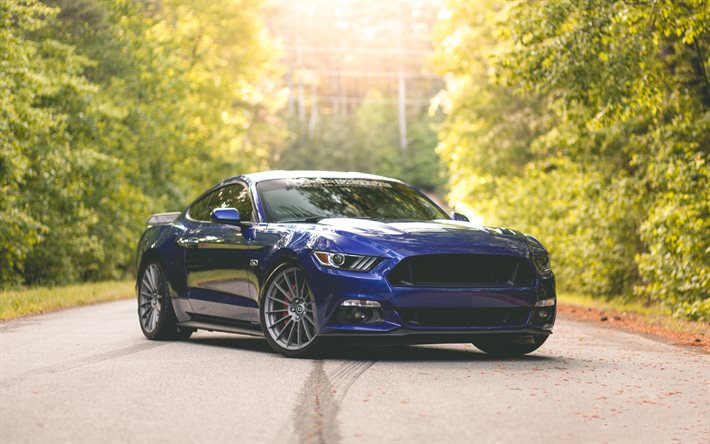 Ford Mustang, 2016, supercars, route, bleu mustang