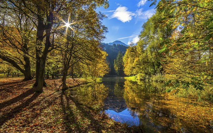 autumn, river, forest, trees, mountains