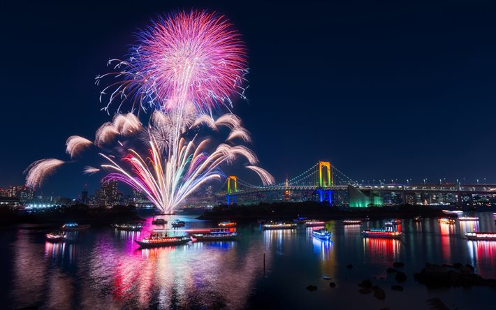 Tokyo, night, fireworks, lake, Japan