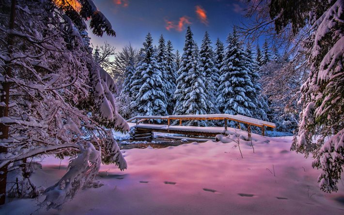 floresta de inverno, árvores cobertas de neve, tarde, pôr do sol, neve, rio, ponte de madeira, paisagem de inverno, neve nos galhos