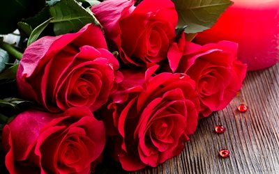 rose rosse, bouquet, candela, gocce, rose
